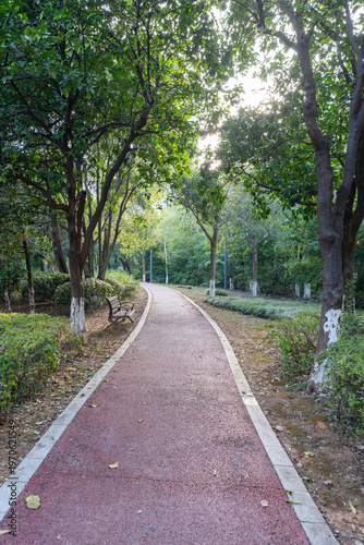 The road of City Park in China