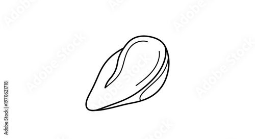 Hand-drawn illustration of a mussel shell, isolated on a white background.