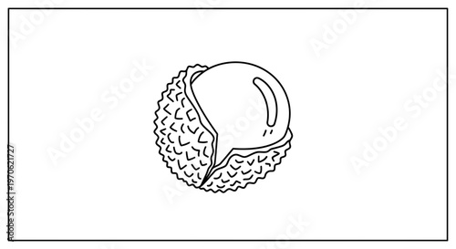 Hand-drawn illustration of a lychee fruit, half peeled, revealing the white flesh and seed.