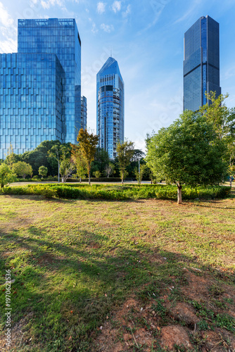 city park with modern building background in shanghai