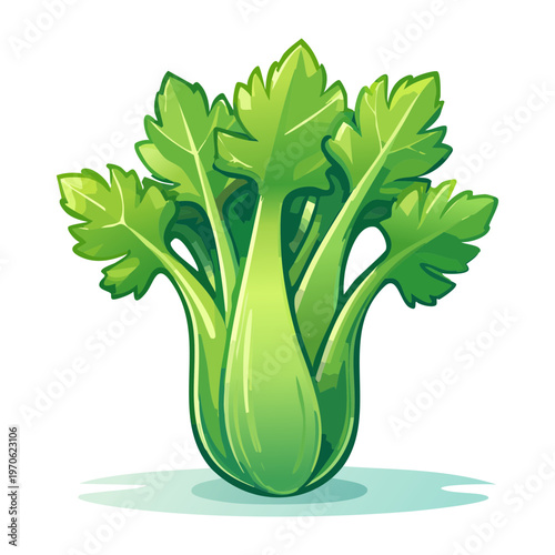 Fresh green celery stalks bunch for healthy vegetable juice and organic cooking ingredients in modern style - Vector Illustration