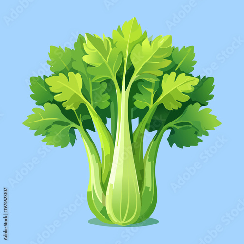 Vibrant green celery ribs for detox smoothies and healthy salad preparation in flat design aesthetic - Vector Illustration
