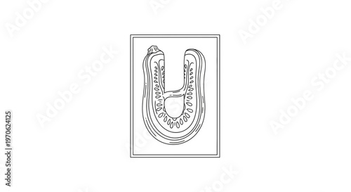 Dental Impression Tray with Teeth Mold Outline, Dental Care Concept