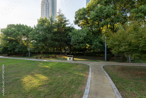 city park with modern building background in shanghai