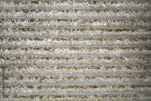 Abstract Pattern of Pine Needles on Corrugated Roof Panel