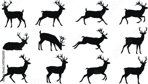Set of black deer silhouettes in various poses including running jumping and standing isolated on white background, CAD drawing flat vector illustration