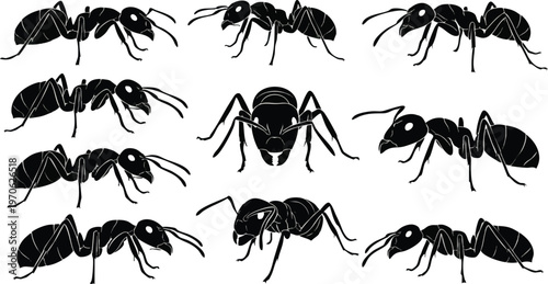 Nine Black Ant Silhouettes Isolated on a White Background.