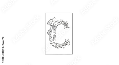 Celery Letter C Alphabet Vegetable Illustration