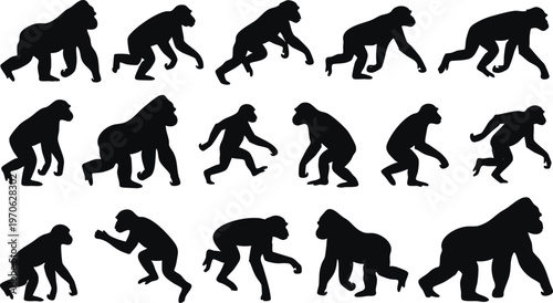 Black Ape and Gorilla Silhouettes Arranged in Three Rows.