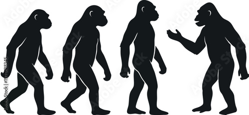 Black Primate Evolution Silhouettes in a Row on White Background.