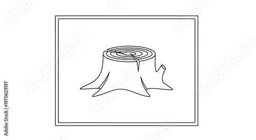 Tree stump with rings, cut wood, forest floor, natural texture, outdoor scene