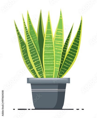 Striped sansevieria succulent in a grey pot for modern office desk decoration and low maintenance indoor plant care for urban living