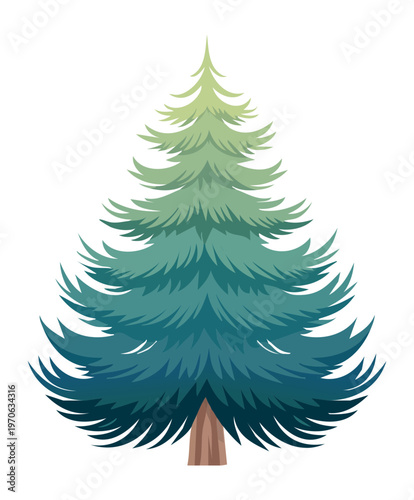 Large evergreen pine tree with dense green needles and a brown trunk for winter forest landscape and natural woodland themed illustrations