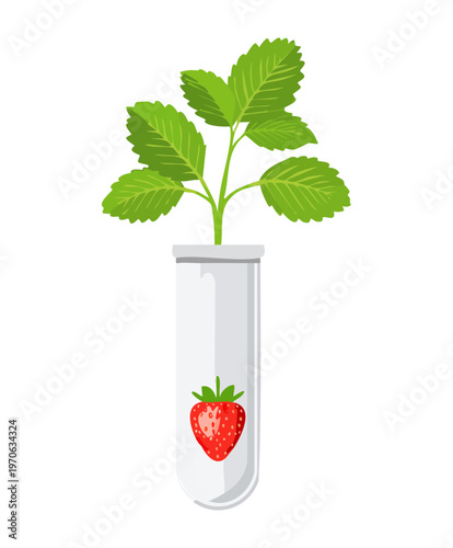 Small strawberry sprout growing in a glass laboratory tube with water for agricultural research and hydroponic plant breeding experiments at home