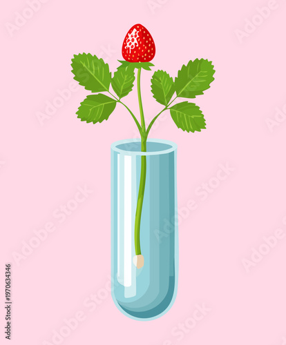 Strawberry plant with red fruit and green leaves in a glass vase with water for decorative kitchen gardening and indoor greenery