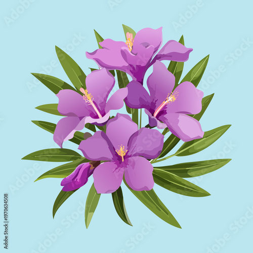 Elegant purple oleander blossoms with green leaves for decorative garden landscapes and romantic floral illustration projects in a tropical climate
