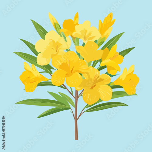 Yellow flowering plant branch for botanical research publications floral arrangement tutorials garden center signage and environmental conservation awareness campaign visual materials