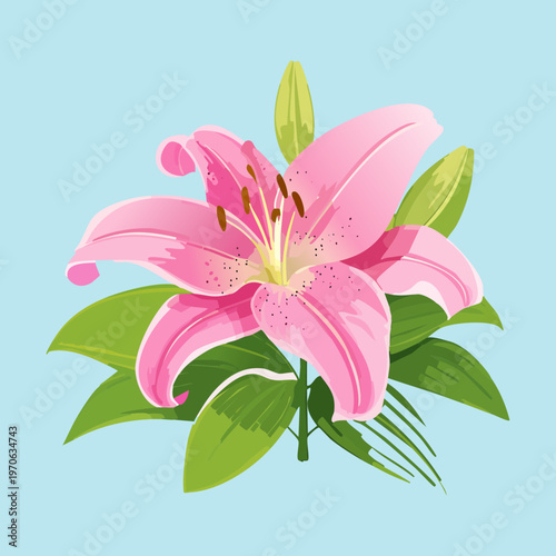 Large pink oriental lily for botanical art prints floral shop signage wedding stationary decor and seasonal spring garden celebration marketing visual materials