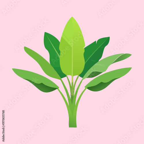 Lush tropical foliage for resort landscape architecture branding exotic plant nursery marketing summer vacation promotion and botanical art for textile patterns