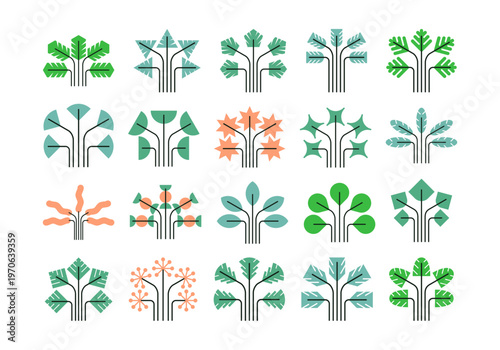 Shape Plants Element