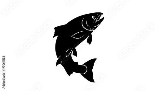 Jumping salmon silhouette leaping upstream isolated on white background dynamic fish vector