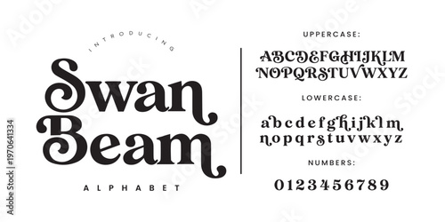 Swan Beam Modern Serif Display Font with Elegant Swash and Curvy Tail for Luxury Branding Design