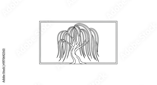 Elegant Black and White Line Art of a Weeping Willow Tree in a Rectangle Frame