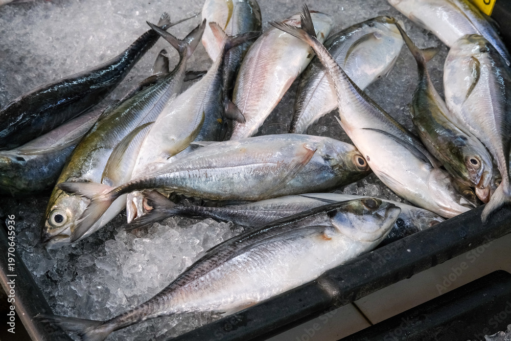 Obraz premium Fresh raw fish on ice at seafood market natural display.
