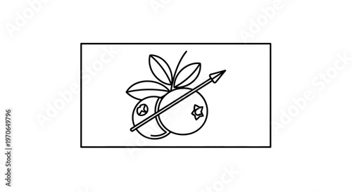 Line Art Illustration of Cranberries with Arrow