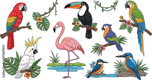 Tropical Birds and Exotic Wildlife Vector Set with Parrots, Flamingo, Toucan, Kingfisher, and Tropical Foliage for Nature, Wildlife, and Animal Design