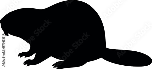 Beaver silhouette minimal black vector illustration for wildlife rodent animal nature habitat dam building and environmental education concept use