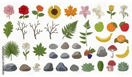 Isolated nature object vector illustration set flowers leaves fruits plants