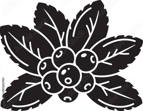 Black and white illustration of holly berries and leaves a simple graphic element for winter and holiday designs isolated on a white background