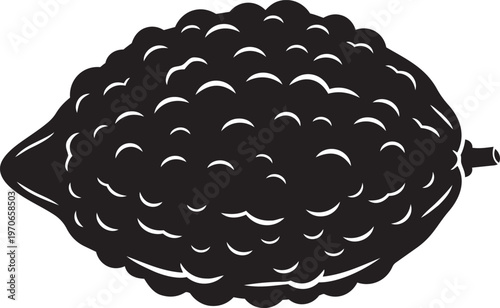 Black silhouette of a bumpy fruit simple vector illustration representing exotic produce or a unique food item isolated on white background