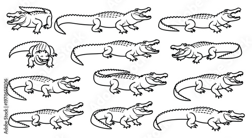 A set of various crocodile illustrations in a black and white line drawing style against a clean white background.