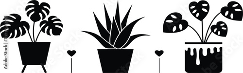 Houseplant silhouettes in pots set with monstera and aloe vera, indoor garden concept isolated vector illustration