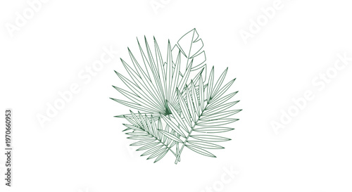 Green leaves are arranged in a circular pattern on a white background