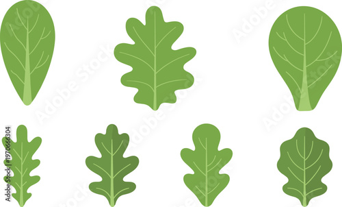 Collection of green organic leaf vector icons featuring various oak and spinach shapes for eco-friendly nature and botanical design projects.
