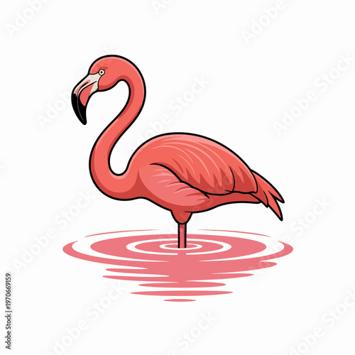 Elegant pink flamingo standing gracefully in calm water vector illustration featuring vibrant tropical bird design with stylized ripples on a clean minimalist white background