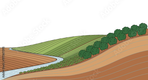 Rolling Hills Landscape: A picturesque countryside scene unfolds, featuring lush green hills, a meandering river, and orderly rows of trees.