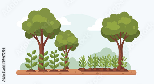 Tree Planting and Growth Illustration