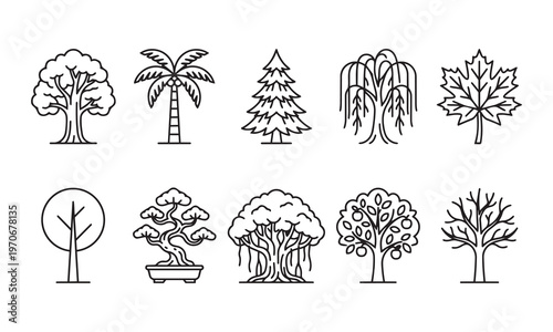 Collection of Linear Tree Species Icons