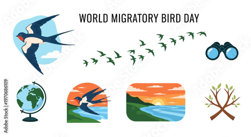 Vector illustrations for World Migratory Bird Day featuring swallows a flock globe binoculars and sunset scenes