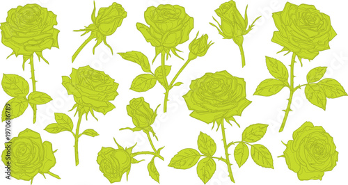 Vector illustration of a seamless pattern set with green tree leaves and garden foliage for a floral nature wallpaper design