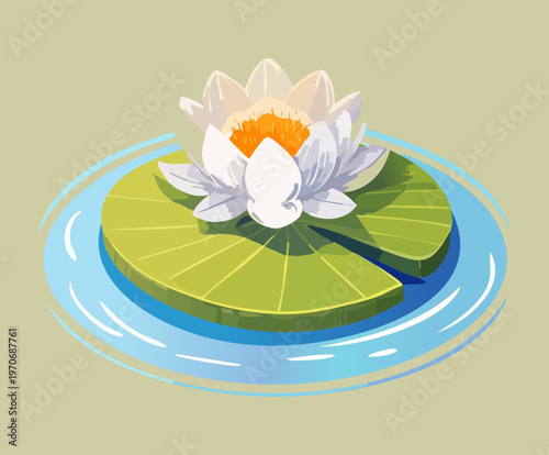 elegant white water lily blossom on floating green leaf in garden pond for aquatic landscaping design and nature environment simulation game asset decoration