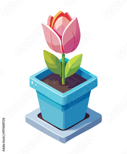 Pink tulip in blue pot for indoor garden decoration home greenery project and botanical spring season design element for houseplant lovers graphics