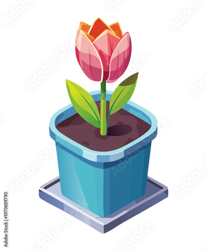 Red tulip flower in pot for garden decoration home greenery project and botanical spring season design element for floral arrangement and nature graphics