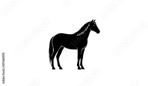Standing horse silhouette side view isolated on white background minimalist equine vector