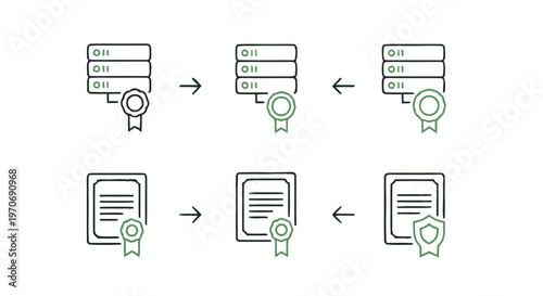 Digital Data Server Security and Certification Process Illustrated.