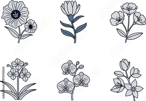Collection of simple floral illustrations delicate line art botanical elements for design isolated on white background